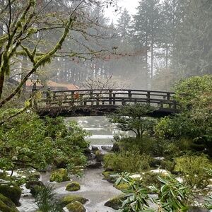 Meet your Posher, Mel